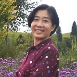 文章附图