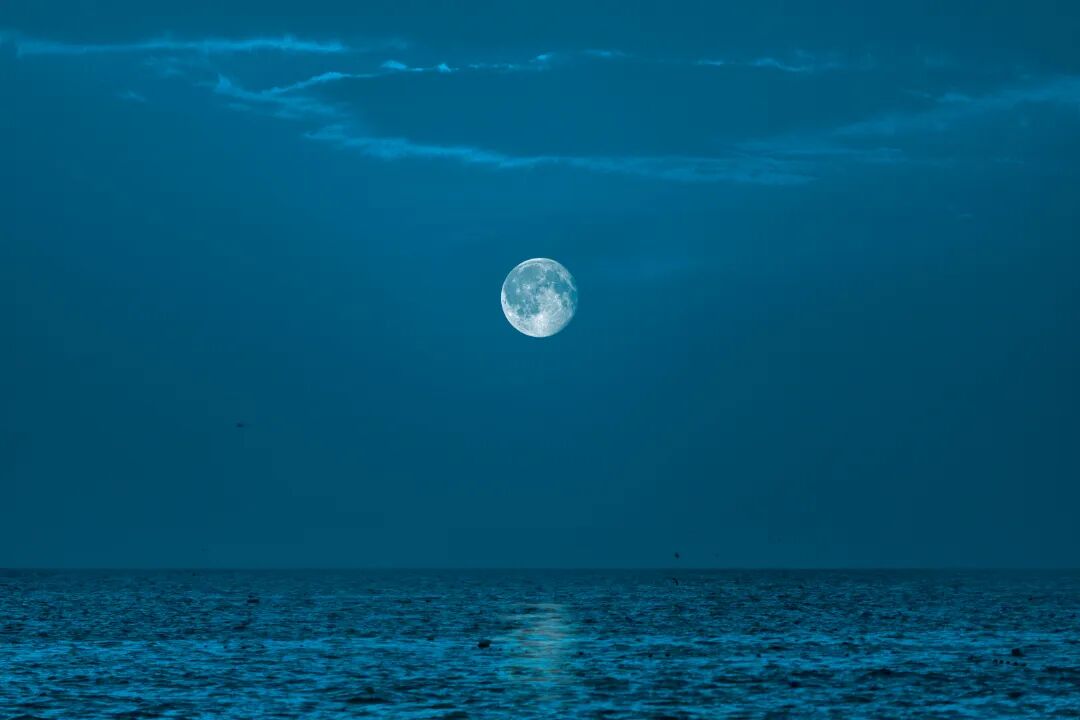 【摄影图】静谧的月圆之夜_766324_副本.jpg