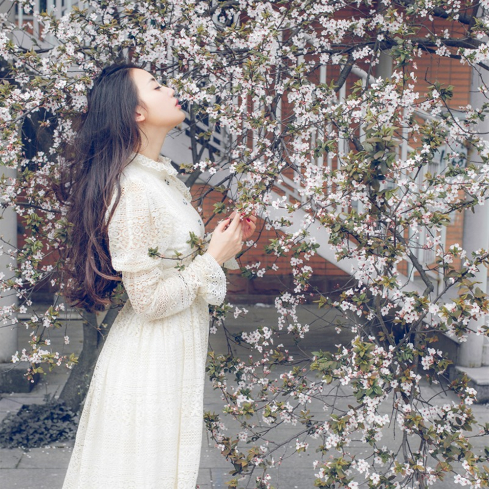 水木诵读樱花雨作者碑林路人