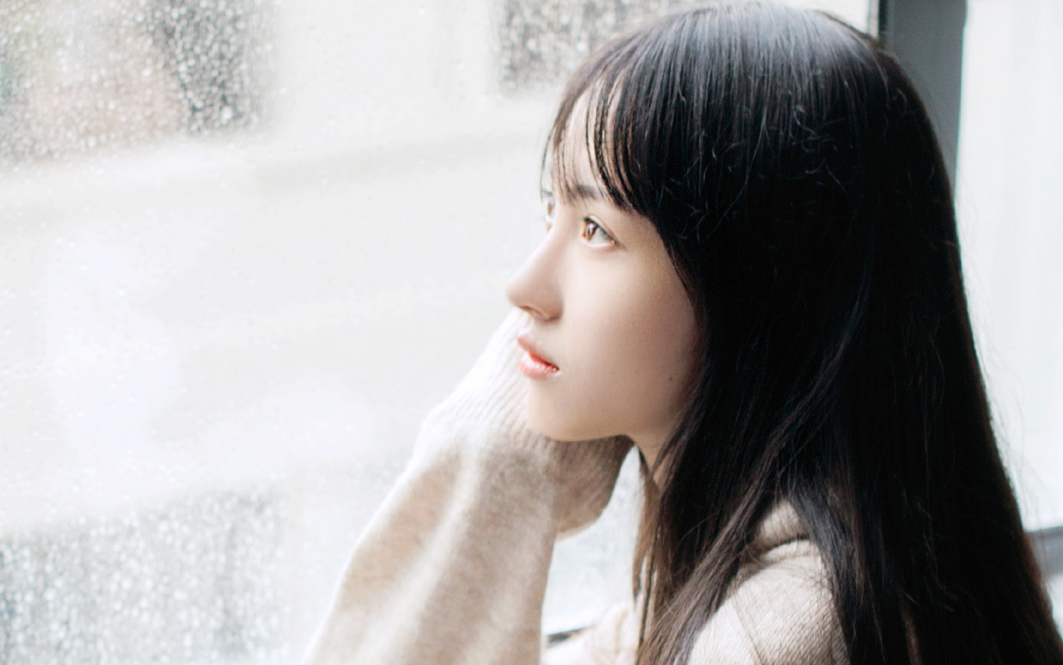 紫金茉莉觉新合诵你的声音作者碑林路人