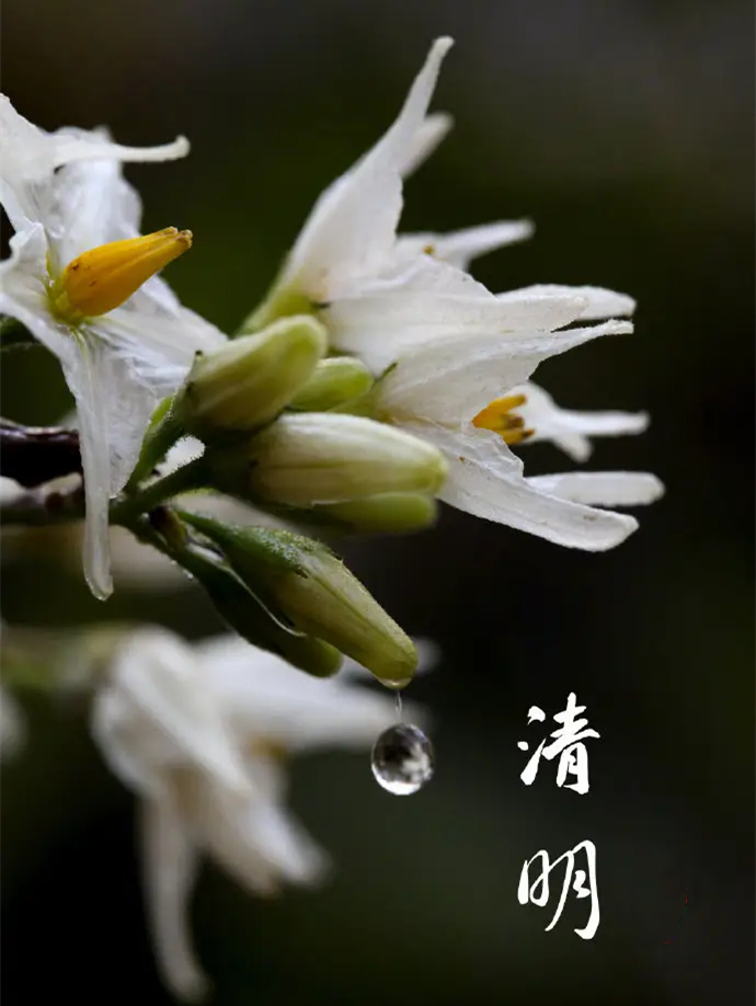 src=http___up.enterdesk.com_edpic_4f_9e_7e_4f9e7e627c6d78884da8ac4a5a442ce8.jpg&refer=http___up..jpg