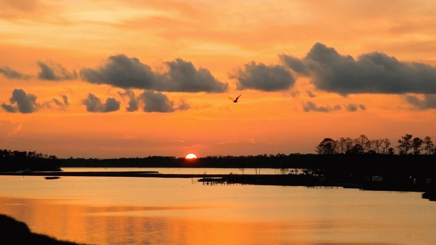 成夕阳下的背景音乐滴泪的红烛还在燃烧倔犟的光焰点亮无数孜孜以求的